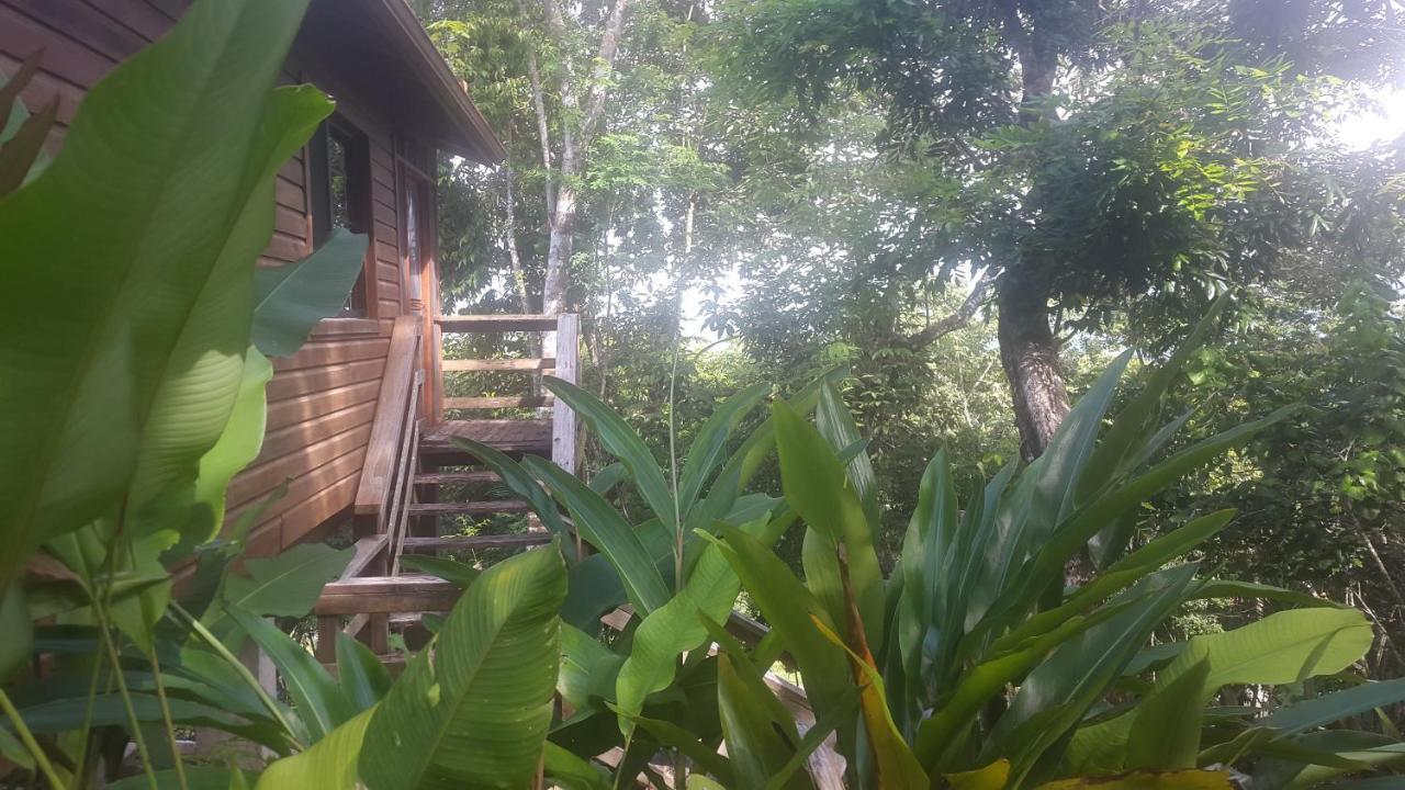 Santa Cruz Cabins Santa Elena 외부 사진